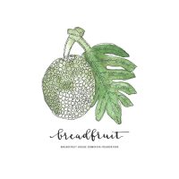Breadfruit House Dominica Foundation