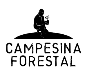 LOGOCF TRANSPARENT Selection